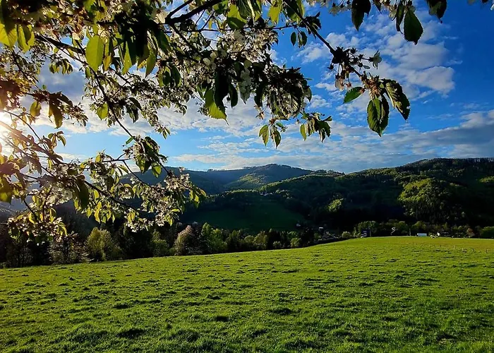 V Beskydech